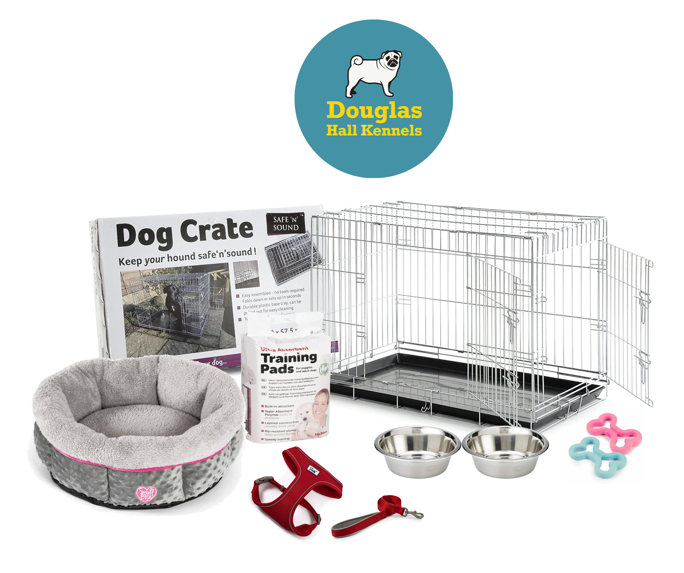 Puppy Starter Kit Dogs puppies for sale from a Licensed Breeder