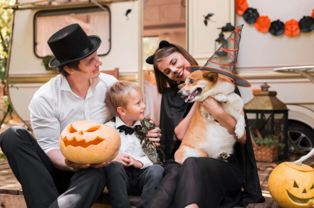 Halloween Safety Tips for Dog Owners: A Guide from a Licensed Dog Breeder