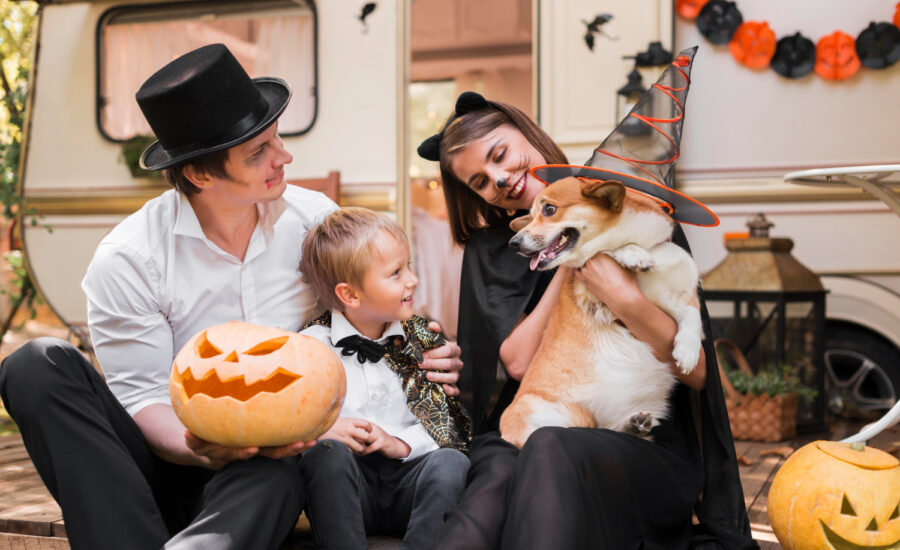 Halloween Safety Tips for Dog Owners